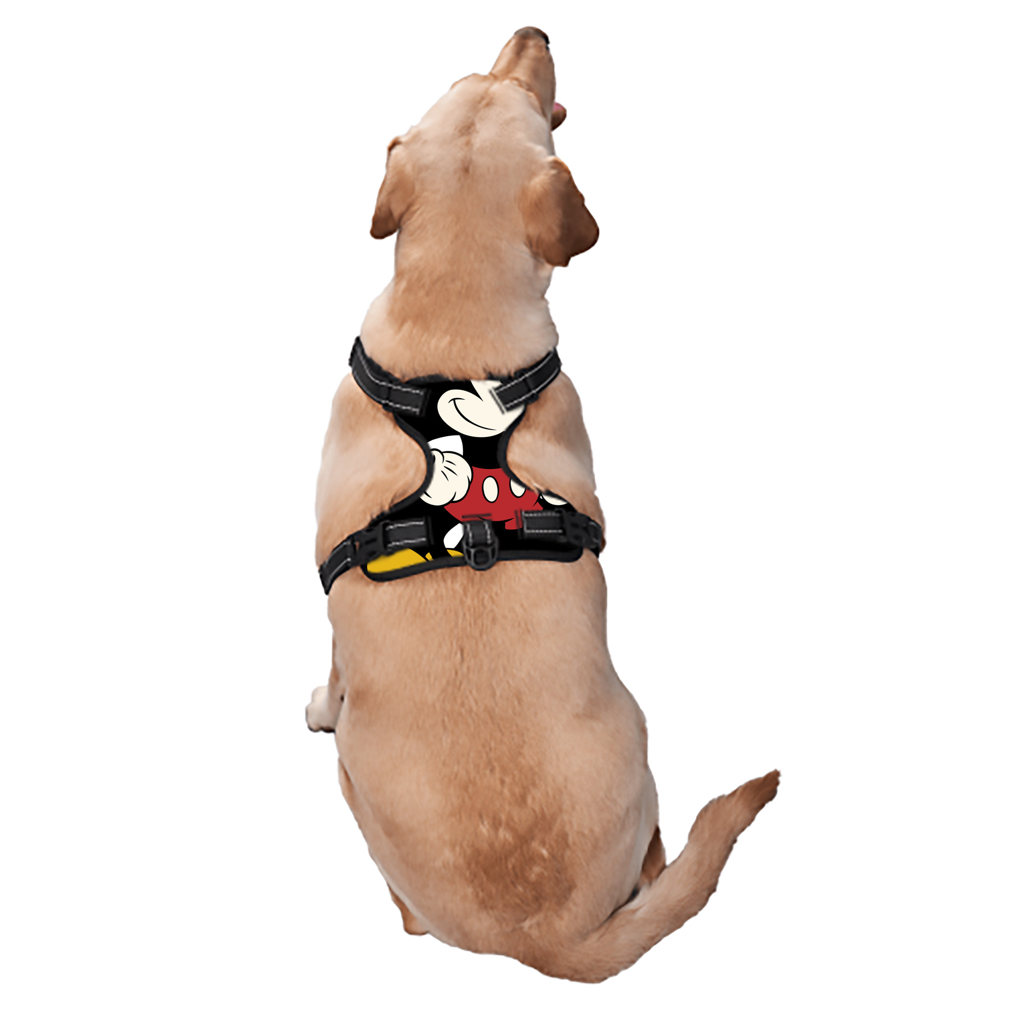 （画像用） ミッキーマウス Mickey Mouse ペット用ハーネス